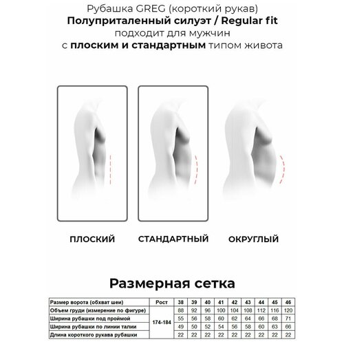 фото Рубашка мужская короткий рукав greg 100/109/wh/z/3p_gb, полуприталенный силуэт / regular fit, цвет белый, рост 174-184, размер ворота 38