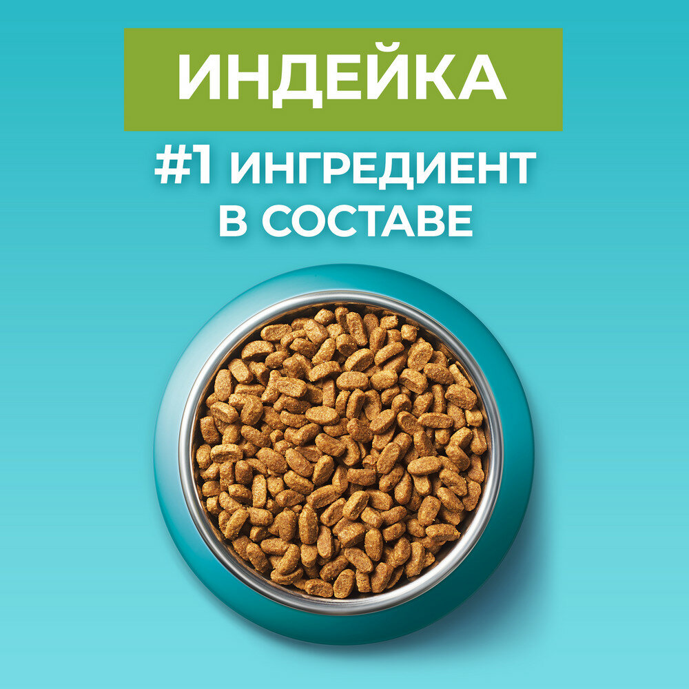 Сухой корм для кошек с чувствительным пищеварением Purina ONE с высоким содержанием индейки 1,5 кг 6 шт - фотография № 14