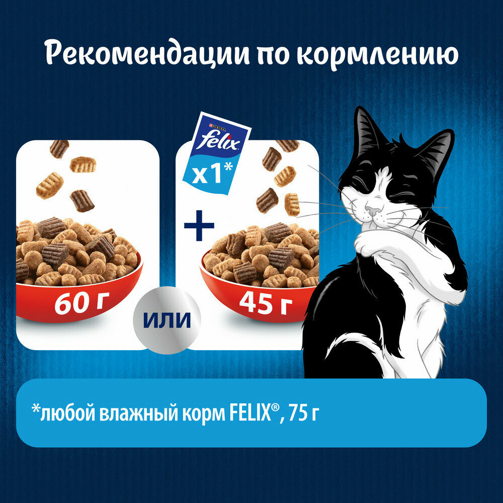 FELIX двойная вкуснятина для взрослых кошек с мясом (3 кг х 4 шт) - фотография № 12
