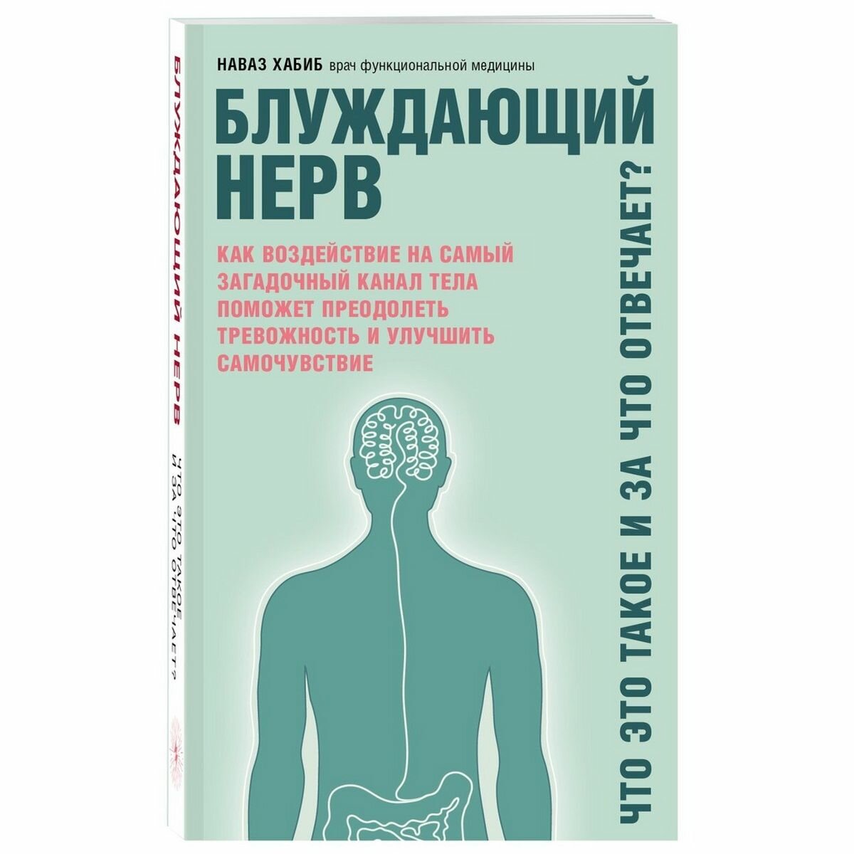 Блуждающий нерв. Что это такое и за что отвечает? - фото №20