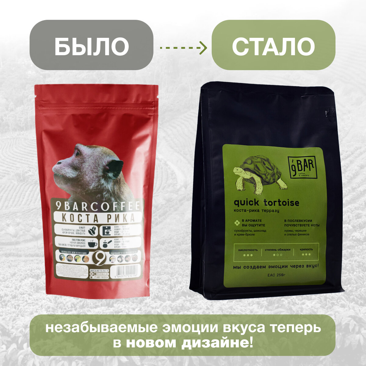 Кофе в зернах 9 BAR coffee & roasters / 9 БАР кофе, Коста-Рика Терразу Quick Tortoise, свежеобжаренный, арабика, 250 г - фотография № 5