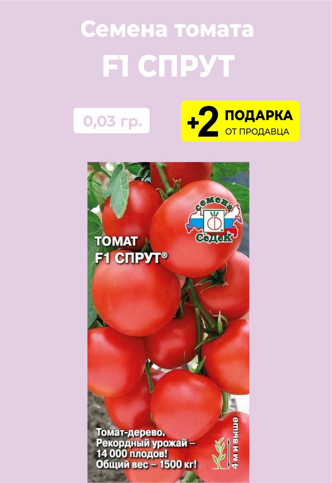 А как поживает Ваша рассада томатов? - обсуждение (31871268) на форуме nn.ru