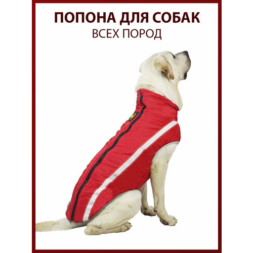 Попона для собак всех пород, размер 2XL, красная, демисезон/зима