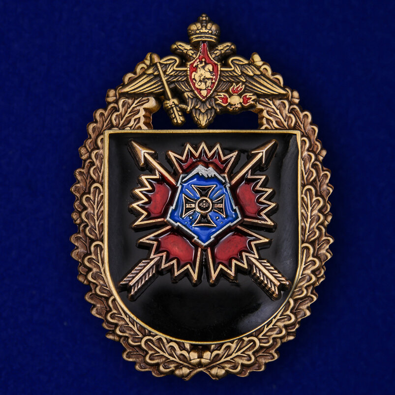 Нагрудный знак "10-я отдельная бригада специального назначения ГРУ", муляж, латунь, размер 3,3х4,8см