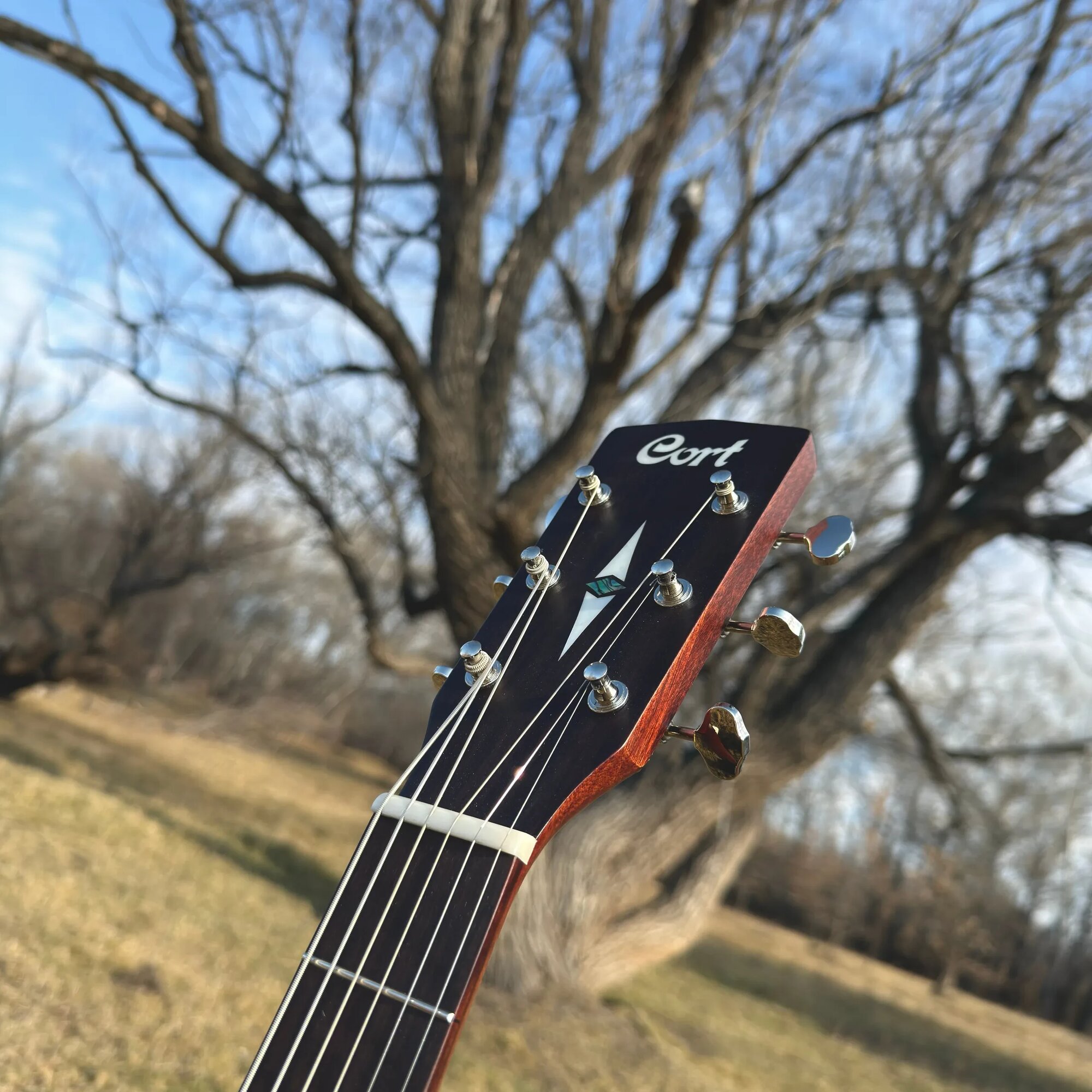 Электроакустическая гитара Cort Luce L300VF Orchestra Natural Glossy — фото 1