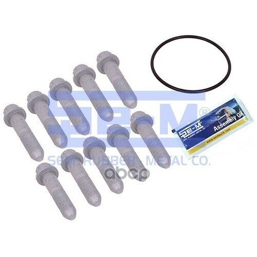 16153_К-Т Болтов Крепления Торм Диска Болты M14x15x65 Кольцо Упл Смазкаsaf Se-M арт 16153 1451₽