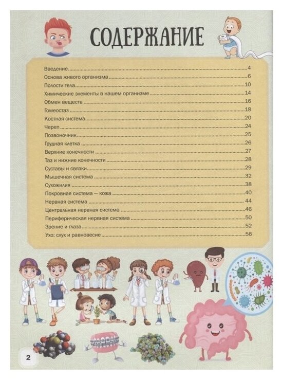 Детский иллюстрированный атлас анатомии человека - фото №2