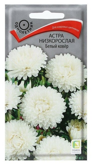 Семена цветов Астра низкорослая "Белый ковер" 0,2 г