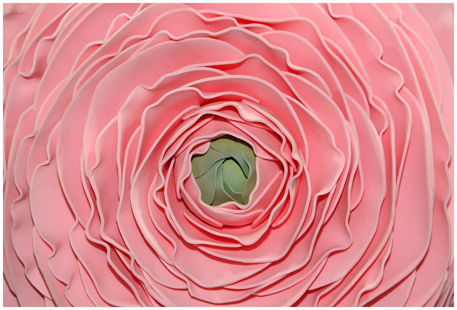 Фотообои на стену HARMONY Decor HDS-146 Розовый цветок, 200 х 135 см, флизеиновые