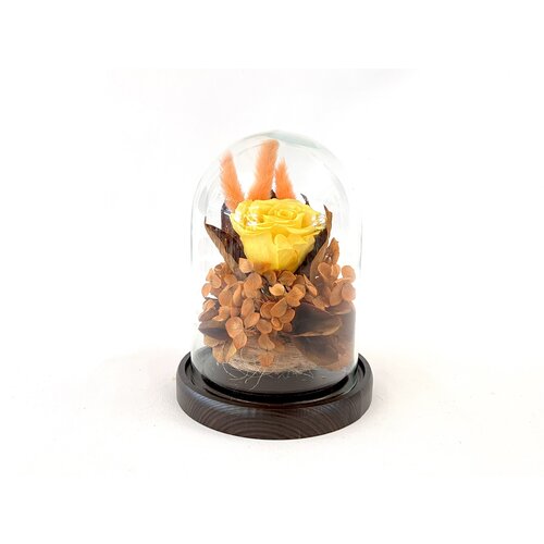 Композиция в колбе | Стабилизированные цветы