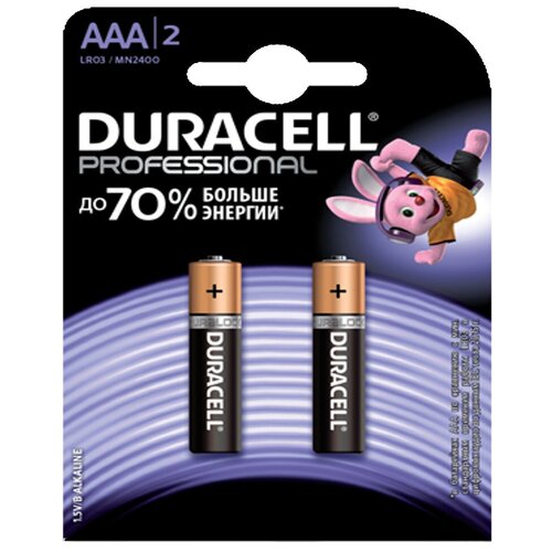 Батарейка Duracell Professional ААА/LR03, в упаковке: 2 шт. батарейки duracell lr03 отрывной basic 2 10 bl20