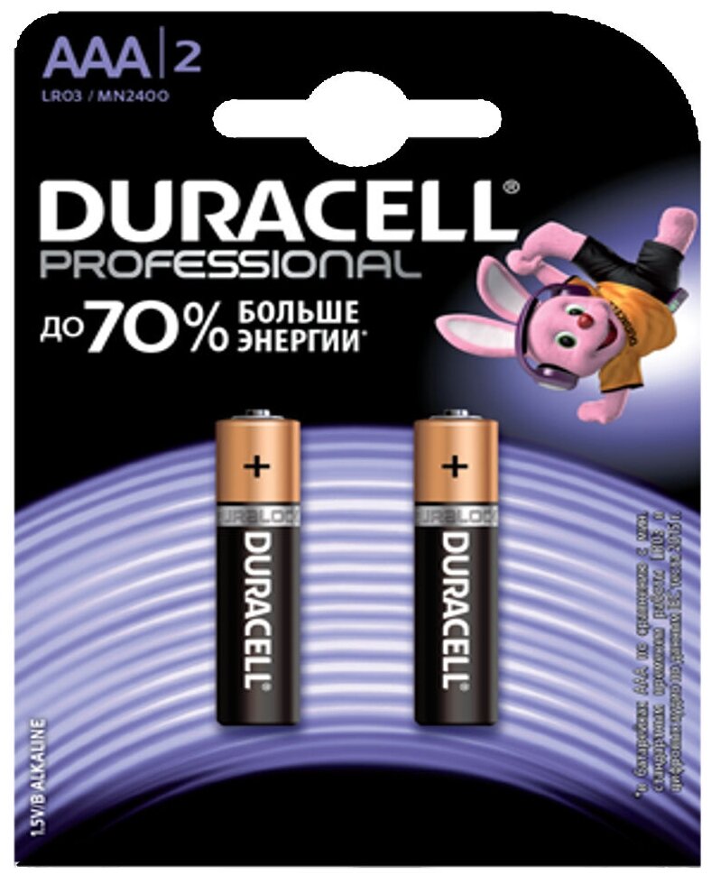 Батарейки Duracell Professional мизинчиковые ААA LR03 (2 штуки в упаковке) 896310