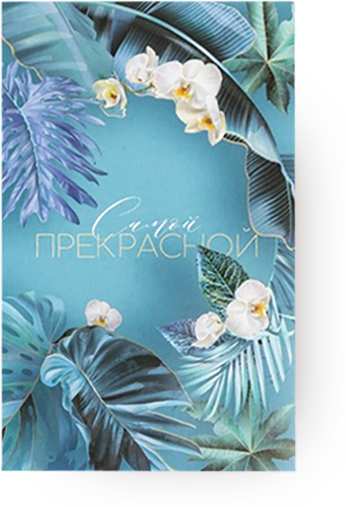 Носки Kaftan, 2 пары, размер 23-25 см (36-39), красный, голубой, белый, бирюзовый