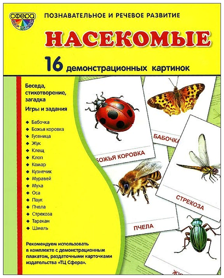 Насекомые 16 картинок Познавательное и речевое развитие Демонстрационный материал Цветкова ТВ 0+