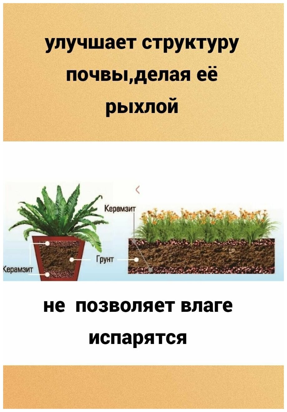 дренаж керамзитовый для цветов и растений фракция 5-10 грунт дренаж 3литра - фотография № 10