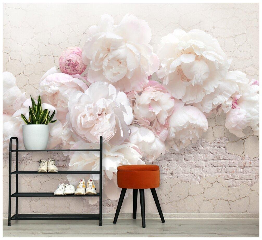 Фотообои на стену флизелиновые 3d Цветы Пионы 200x270 см Barton Wallpapers F003