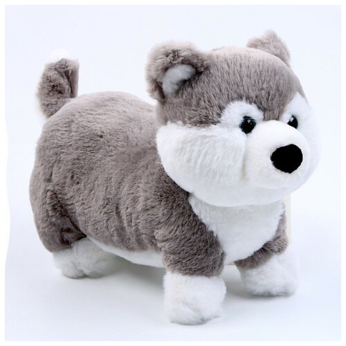 SUI Мягкая игрушка «Хаски», размер 28 см, цвет серый