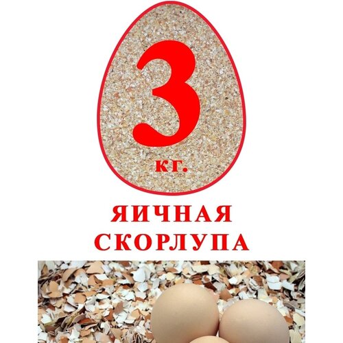 Яичная скорлупа 3 кг