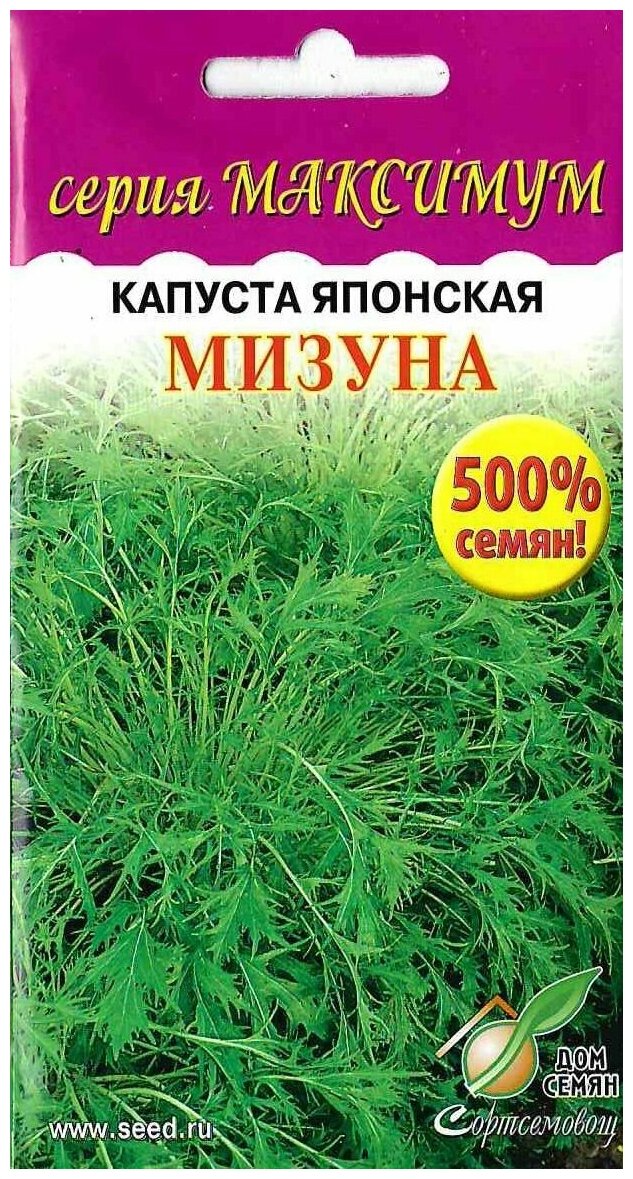 Капуста японская Мизуна (серия Максимум) количество семян в 5 раз больше сроки годности на 4 года вперед всхожесть максимальная 1350 семян