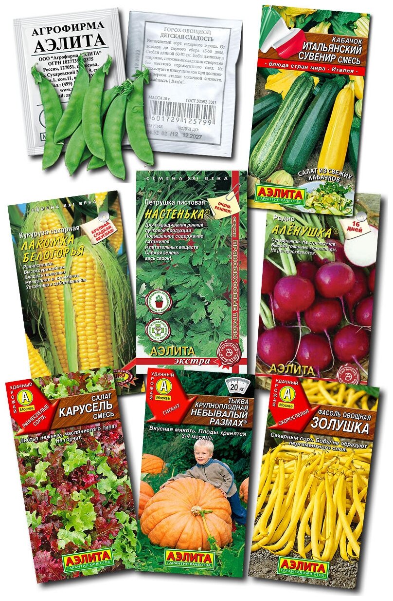 Набор семян овощей и зелени «Детская грядка-1». Просто познавательно полезно. 8 пакетов