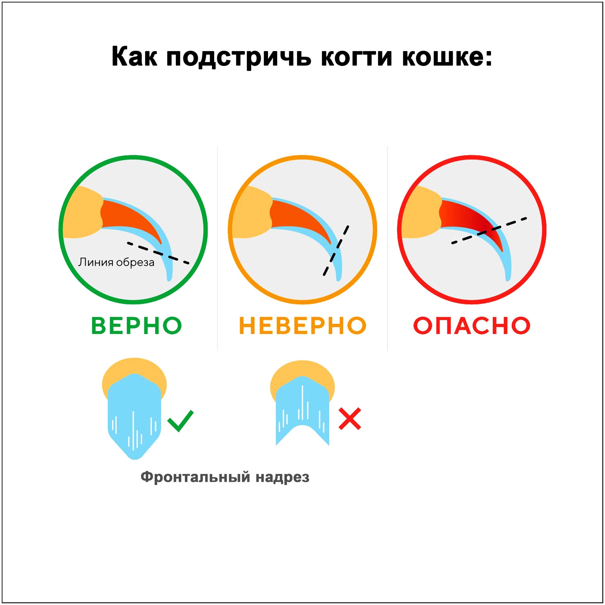 Когтерез с ограничителем для маленьких и больших собак и кошек. Безопасная когтерезка для всех размеров, щенков, взрослых мелких и крупных собак - фотография № 10