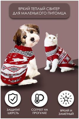 Четыре идеи вязаной одежды для маленьких пород собак-2