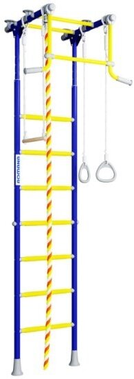 Детский спортивный комплекс Romana R2 (01.20.7.06.490.02.00-11) синяя слива