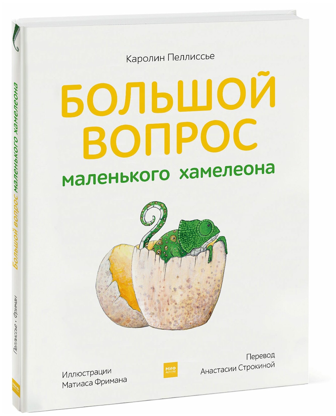 Каролин Пеллиссье, иллюстратор Матиас Фриман "Большой вопрос маленького хамелеона"