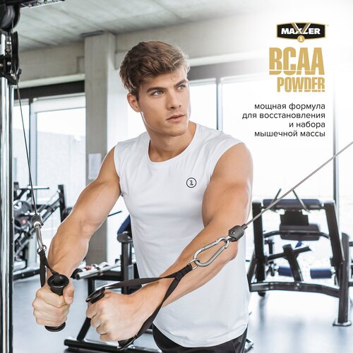 Аминокислотный комплекс Maxler BCAA Powder, зеленое яблоко, 420 гр.
