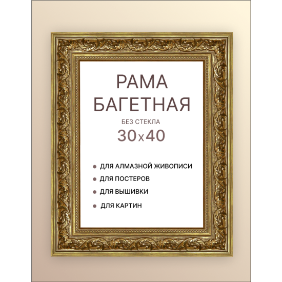 Багетная рама Декарт 30/40 8Л2291