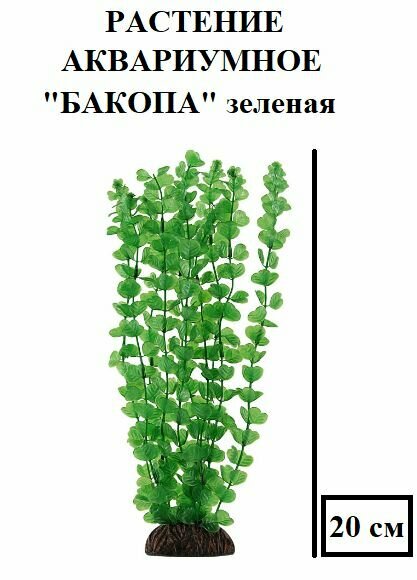 Растение "Бакопа", зеленое, 200мм, декорация для аквариума, мягкая, красивая, не травмирует рыбу