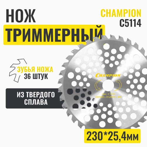 нож диск champion c5174 dragon 25 4 мм Нож с зубцами из твердого сплава Champion Dragon 36/230/25.4