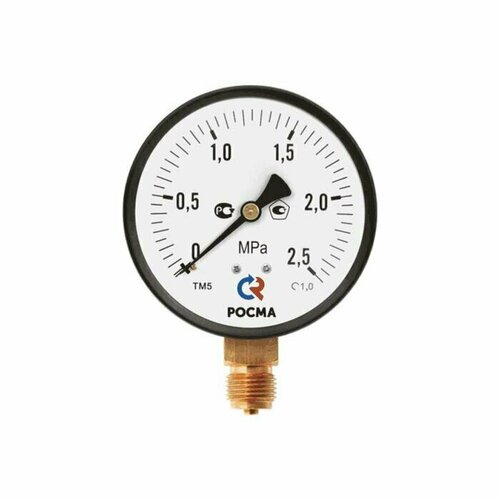 Манометр ТМ-310Р.00 радиальный Дк63мм 0-1,0 МПа кл.1,5 G1/4 Росма 00000009573 манометр радиальный d 100 мм подключение 1 2 до 6 бар 0 0 6 мпа тм 510 p 00 росма