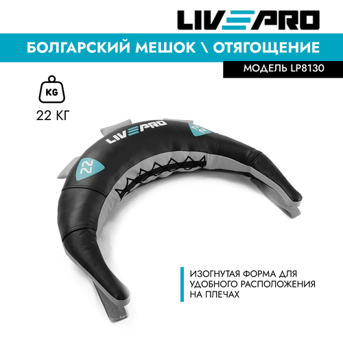 Болгарский мешок LIVEPRO Bulgarian Bag, вес 22 кг