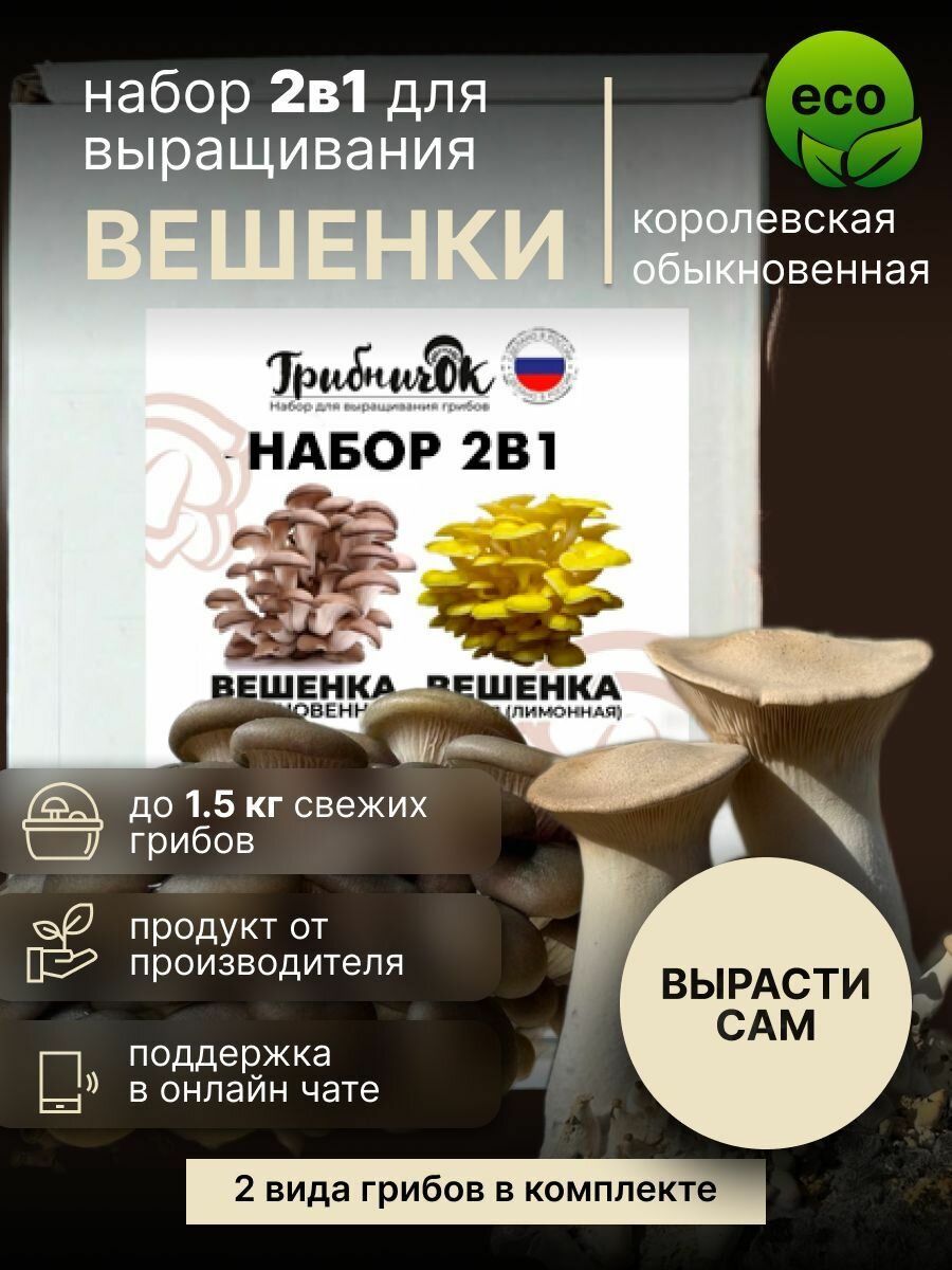 Двойной набор для выращивания вешенки черный принц и Эринги