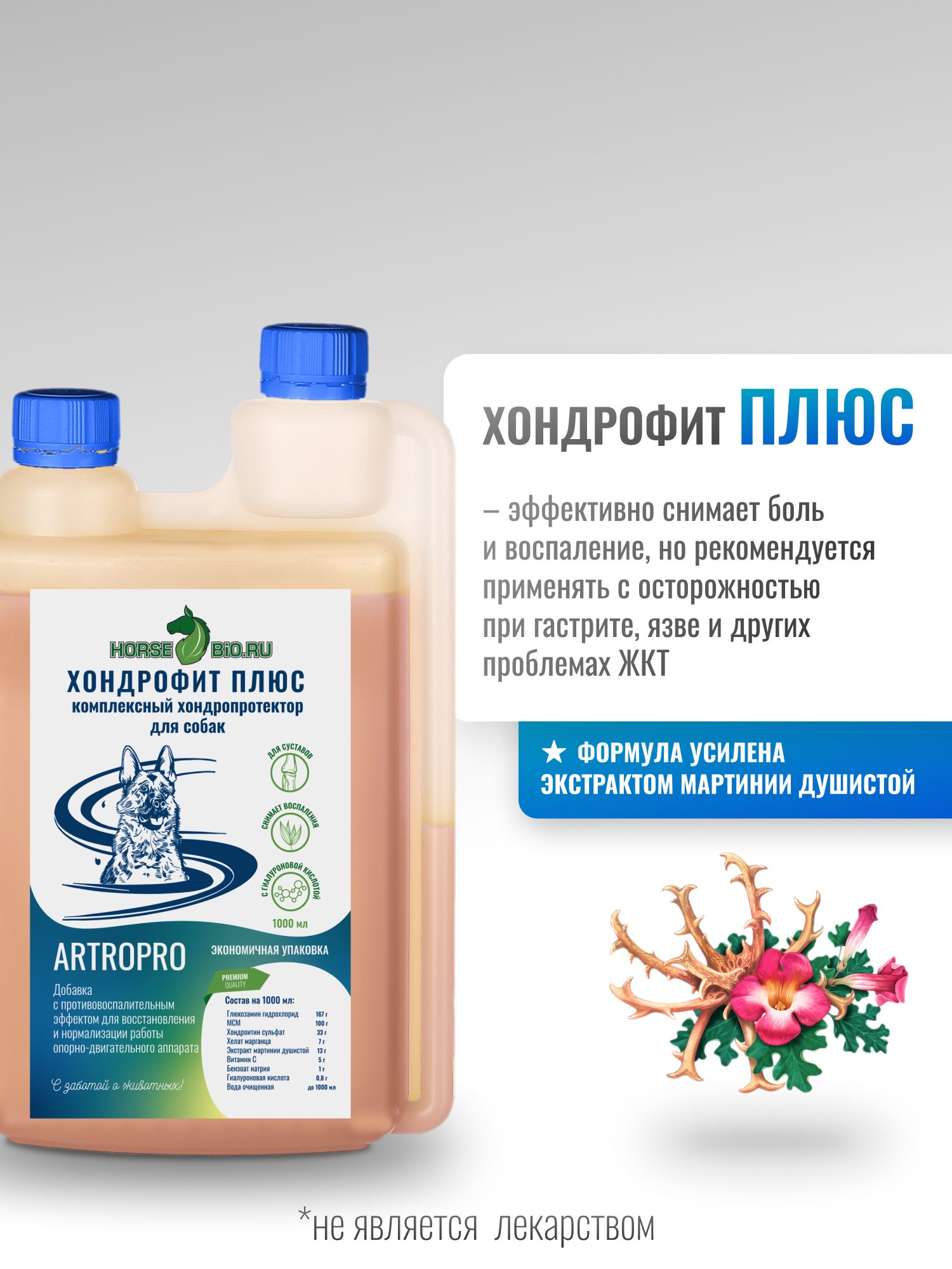 Комплексный хондропротектор ХОНДРОФИТ ПЛЮС ArtroPro для собак крупных пород, 1 л