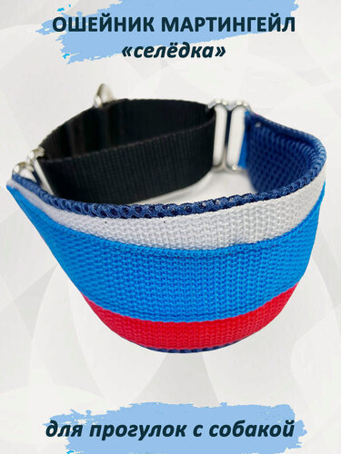 Изображение товара Ошейник totemica для собак типа "Селёдка" мартингейл. Триколор M