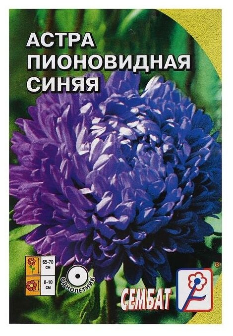 Набор семян цветов Астра пионовидная синяя 0 2 г - 2 шт