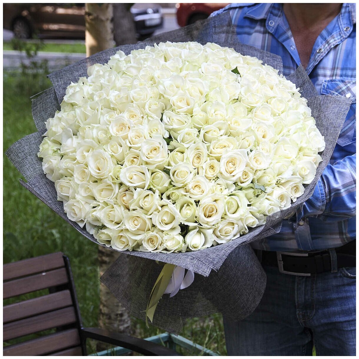 Цветы живые букет из 151 белой розы 50 см в сетке с атласной лентой