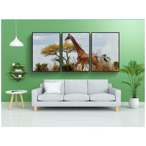 фото Набор модулных постеров для интерьера "жирафа, африке, кения" 60x90 см. в тубусе, без рамки lotsprints