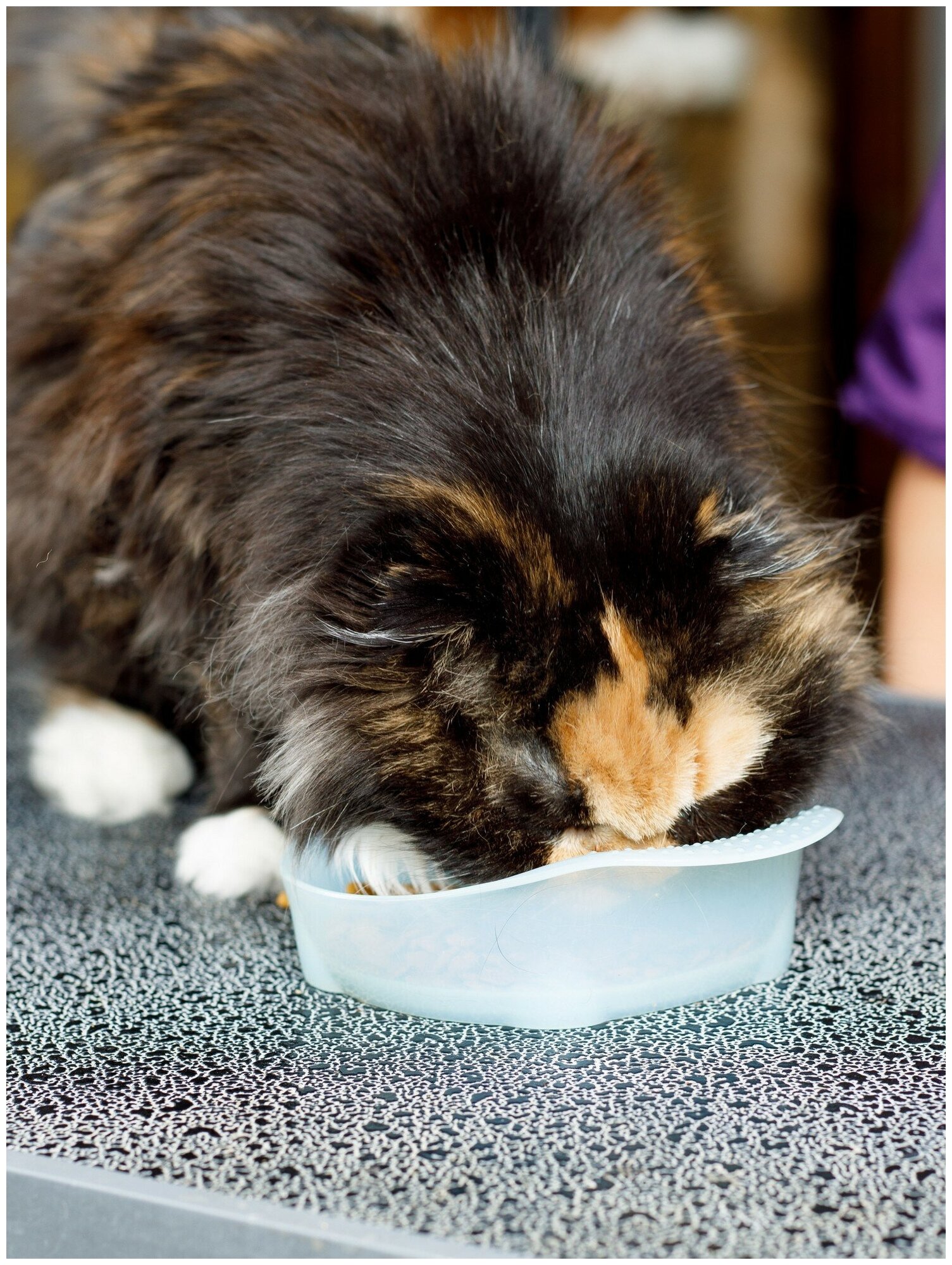 Лакомство Japan Premium Pet PRESENT для пожилых кошек (15+), с содержанием олигосахаридов для поддержания здорового пищеварения, 240 г - фотография № 5