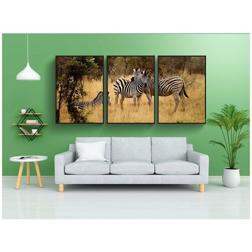 фото Набор модулных постеров для интерьера "зебры, группа, саванна" 60x90 см. в тубусе, без рамки lotsprints