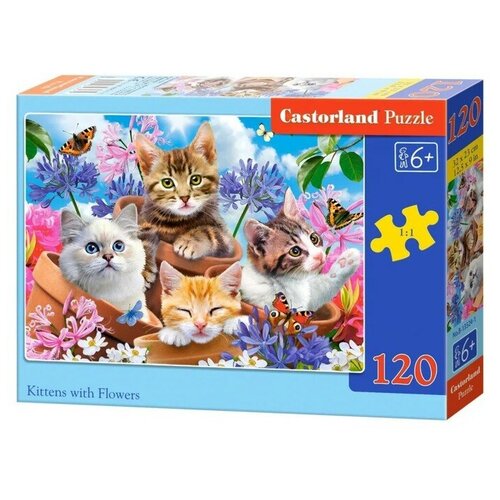 Castorland Пазл «Котята в цветах», 120 элементов