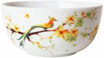 Салатник Domenik Paradise Bird DM90040 14см