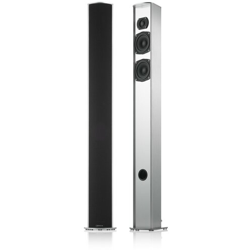 Напольная акустика Piega Tmicro 5 alublack 13420000₽