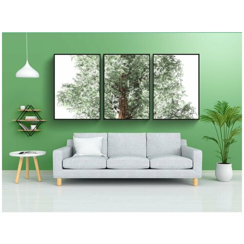 фото Набор модулных постеров для интерьера "дерево, чилийский кедр, изолированные" 60x90 см. в тубусе, без рамки lotsprints