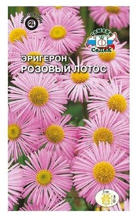Эригерон СеДеК - фото №1