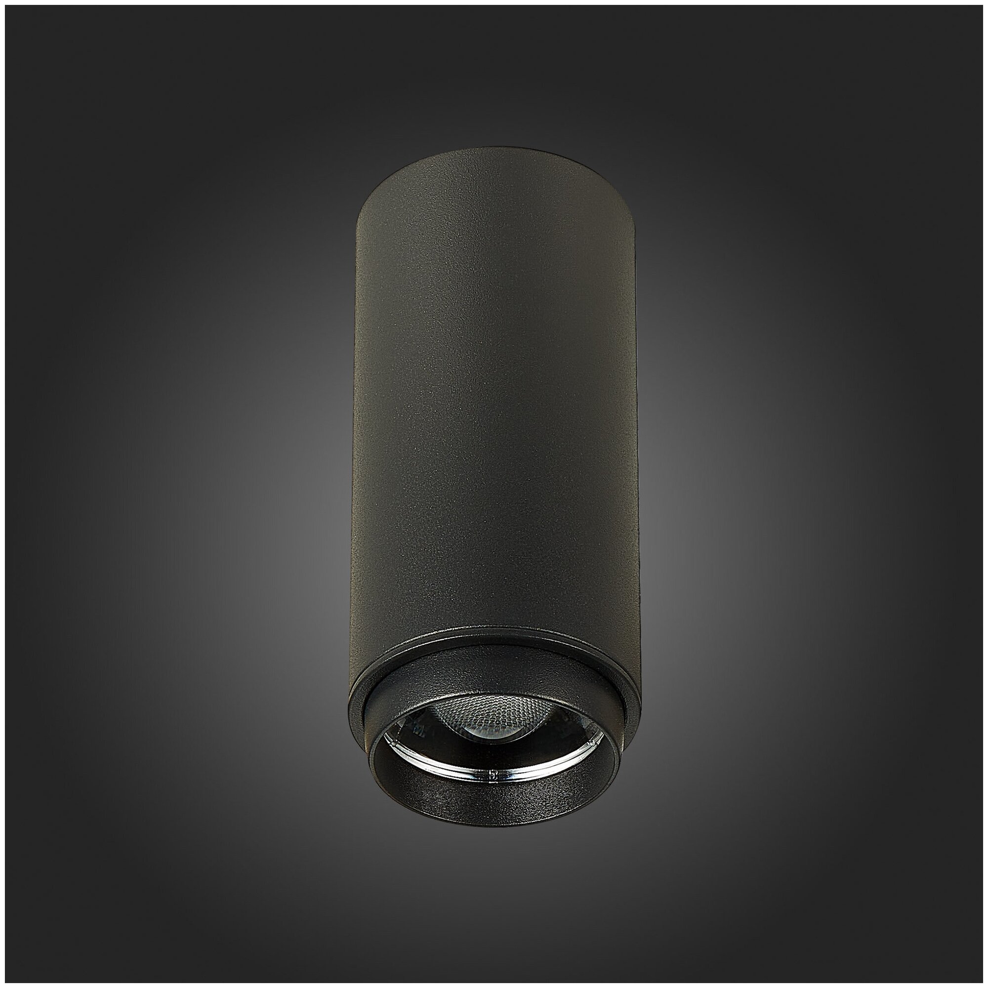 Потолочный светильник ST Luce Zoom ST600.432.10 - фотография № 3