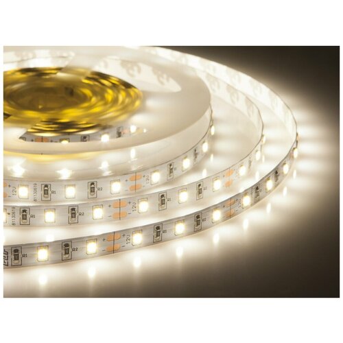 Светодиодная лента ELF 300SMD 12V 5m IP 33 White Daylight 5000-5500К ELF-300SMD2835NWdw5000