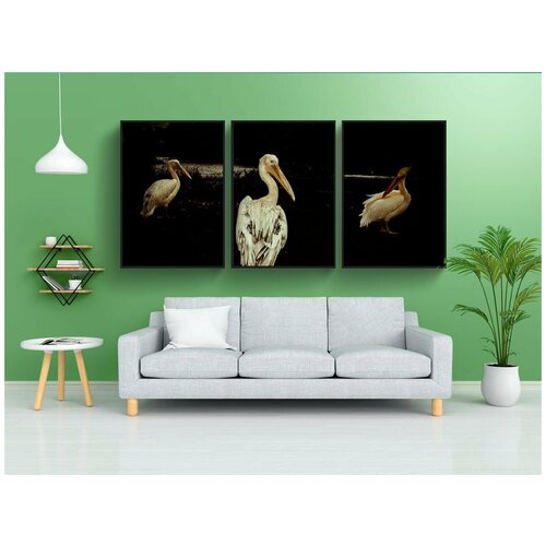 фото Набор модулных постеров для интерьера "пеликан, празднование, природа" 60x90 см. в тубусе, без рамки lotsprints